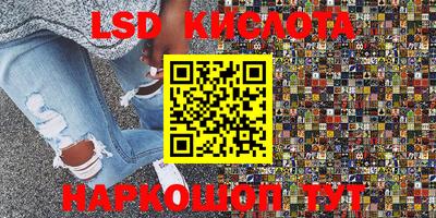 прущие грибы Краснознаменск