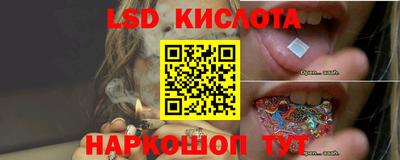 прущие грибы Краснознаменск