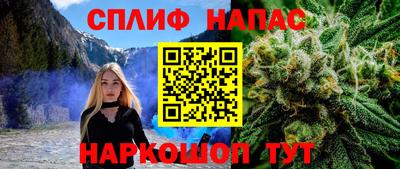 прущие грибы Краснознаменск