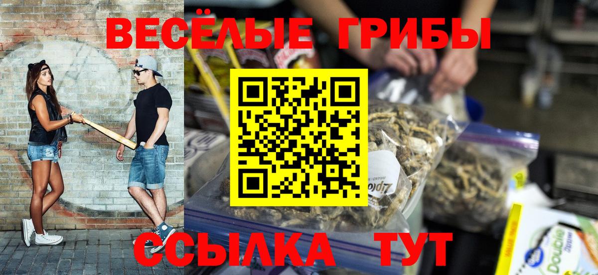 Галлюциногенные грибы MAGIC MUSHROOMS  Галлюциногенные грибы мицелий  Вход с VPN  Черкесск 